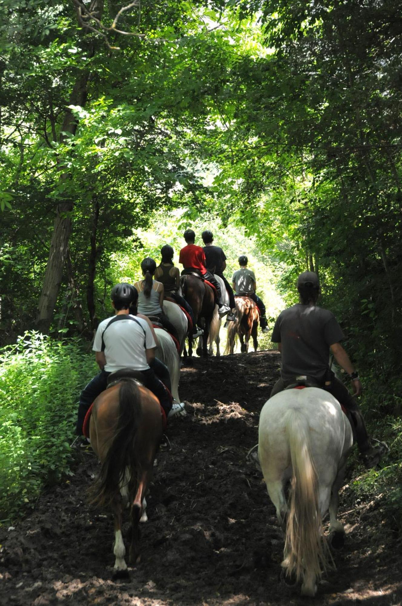 Camping Llavorsí Dış mekan fotoğraf
