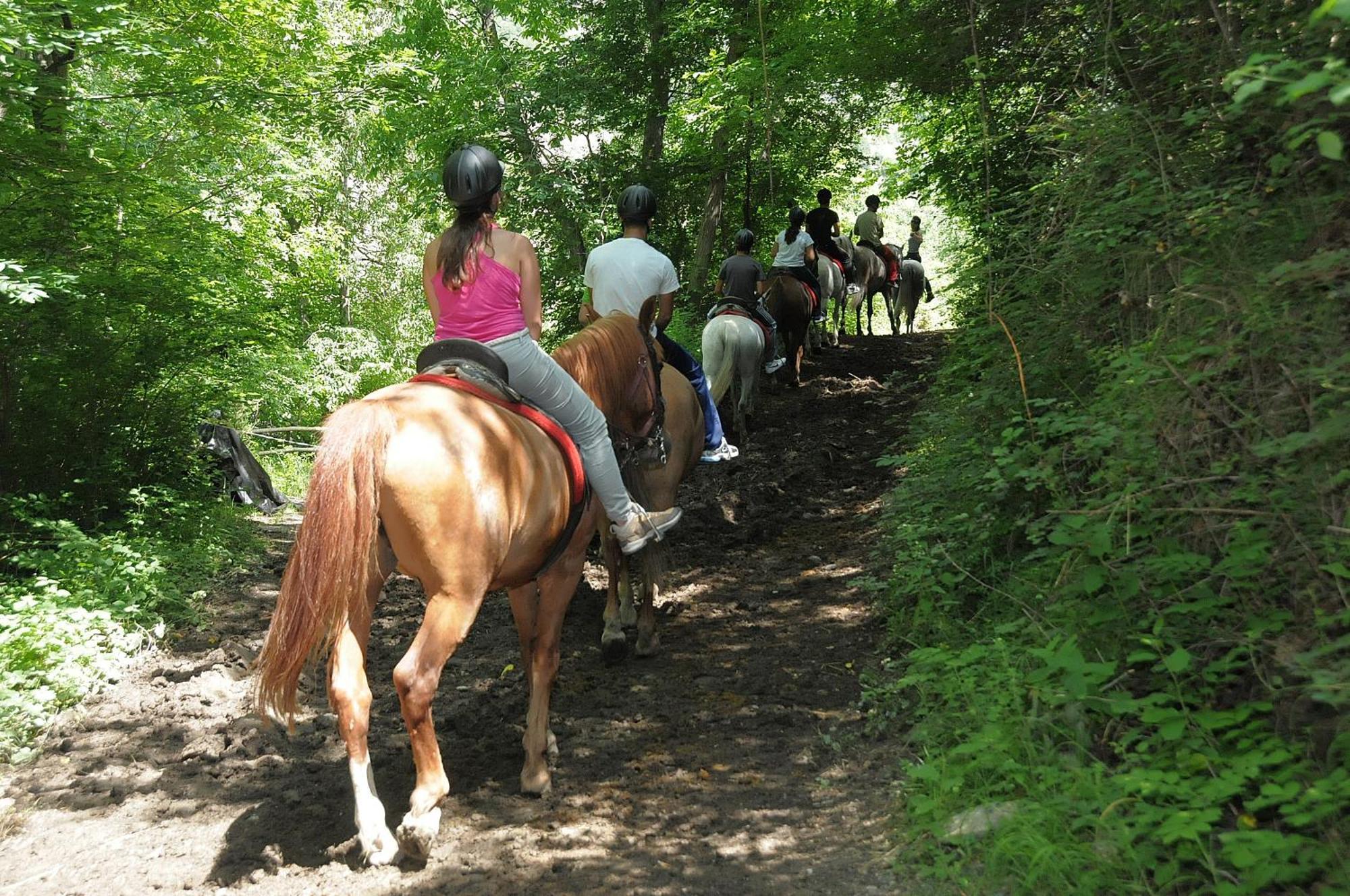 Camping Llavorsí Dış mekan fotoğraf